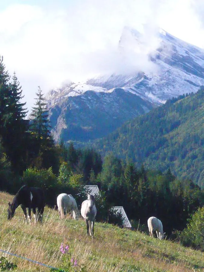 Le Si-Pres Pied Des Pistes Apartamento Les Carroz d'Araches